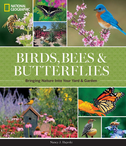 Birds, Bees, Butterflies