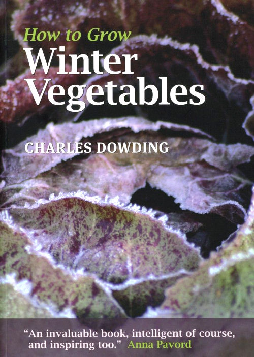 How To Grow Winter Vegetables