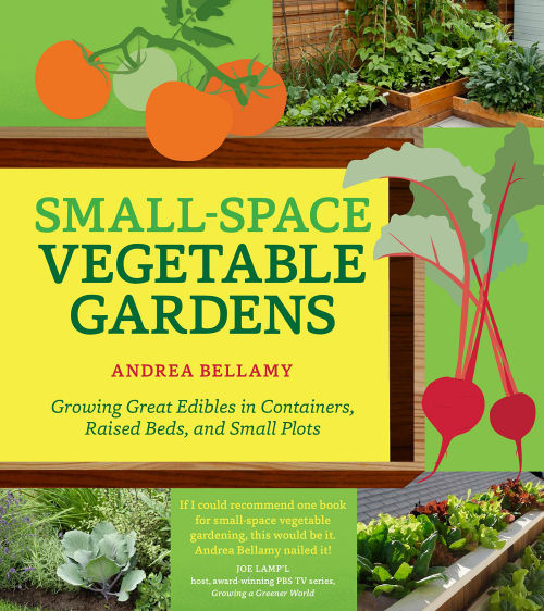 Small Space Vegetable Gardens