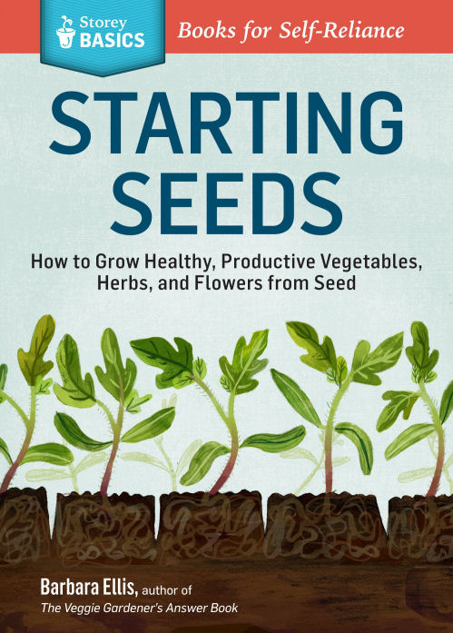 Starting Seeds